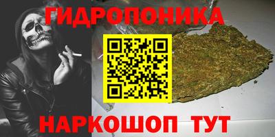 мяу мяу мука Нальчик